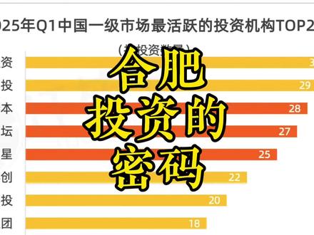 合肥一季度上的快和这个有关系 #安徽 #合肥 #投资