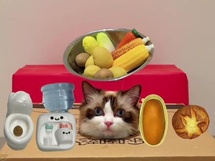 这捏捏乐也太搞笑了吧! #万物可爱计划 #猫咪的迷惑行为 #捏捏乐