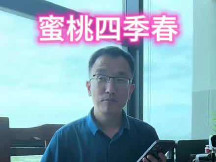大佬同款,蜜桃四季春#黄仁勋#蜜雪冰城#蜜桃四季春
