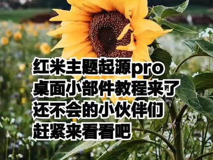 还不会桌面小部件的小伙伴们,教程来了哦。#红米K40 #桌面小部件 #手机技巧
