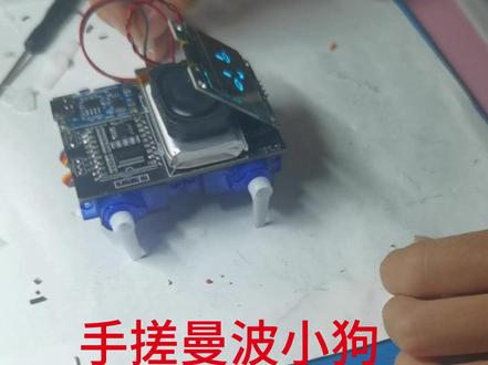 手搓AI机器狗。 第一次焊接曼波机器狗,居然就成功唤醒了。#人工智能 #编程 #科技 #电工 #青年创作者成长计划