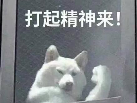 不是吧 阿sir没有缓存也不掉速!! 西部数据SN770开箱测评!! #电脑 #显卡 #电脑知识 #硬盘
