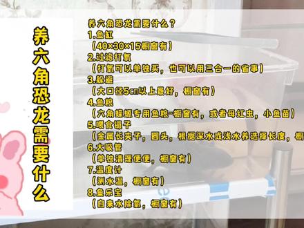 养六角恐龙需要什么?给大家做了一期总结,想入手的宝宝一定看完,结尾有图可截取保存,大部分橱窗有挂哦#六角恐龙 #六角恐龙鱼 #六角恐龙饲养 #六角龙鱼