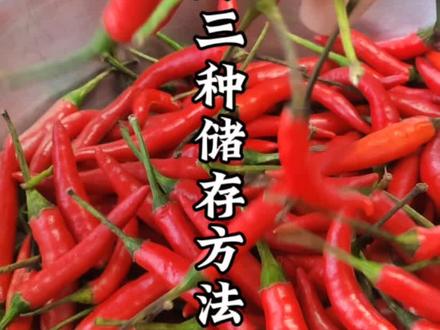 小米辣太多吃不完,可以这样保存#小米辣保存方法