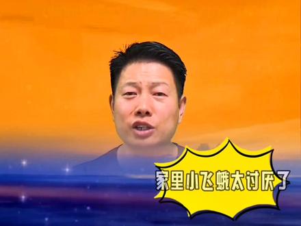 家里的小飞蛾!到处乱撞乱飞,太讨人厌,尤其是带灯光的地方成灾了!必须清干净 #抖音好物年货节 #除虫小妙招 #清洁