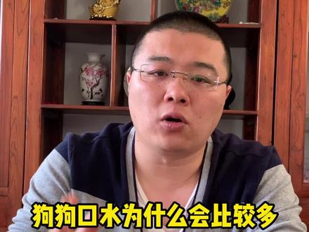 狗狗口水多是怎么回事#狗狗 #萌宠 #科学养宠攻略