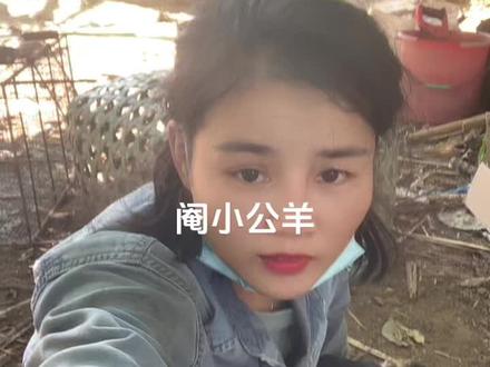 小公羊绝育#喜欢农村姑娘的点个关注吧 #