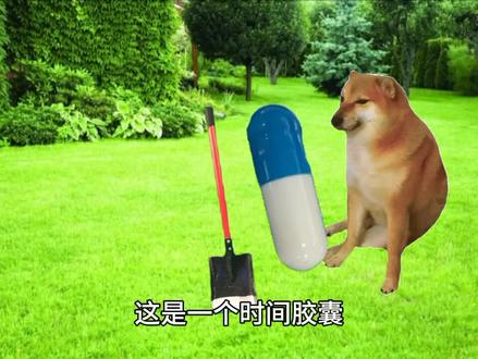 大家可以在评论区问未来的自己问题
#cheems小剧场 #时间胶囊