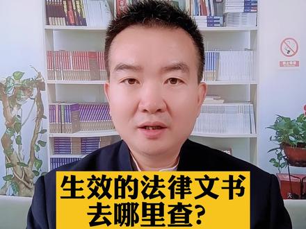 生效的法律文书去哪里查?#法律调解#法律科普#抖来学法