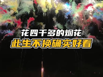 过年啦,花四千多的烟花确实好看,结婚用这个烟花寓意好啊 #烟花秀 #此生不换 #巴蜀辣韵蔡涛 #新年快乐新年红红火火