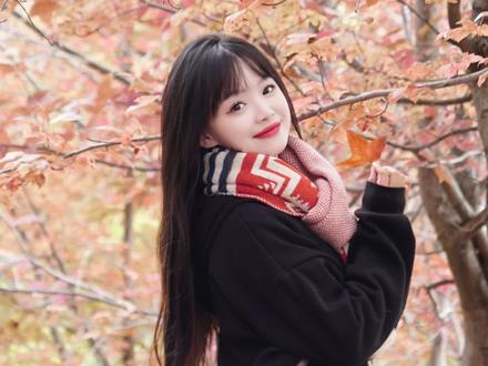 昆明的冬天含秋量依旧100% #枫叶🍁 #一起来拍秋天 #一年四季都很美 #昆明周边游