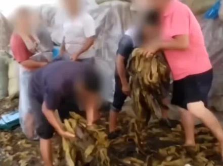 “如今今非昔比”#玩命哥 #玩命哥讲述以前 #和平饭店老板#上海有个规矩