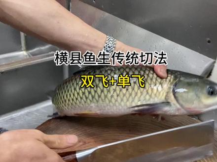 搞网箱养殖的兄弟又拿了一条草鱼给我做横县鱼生 #鱼生 #横县鱼生 #杀鱼 #杀鱼技术 #刀工 #刀功 #广西特色美食 #跟着抖音吃遍全国