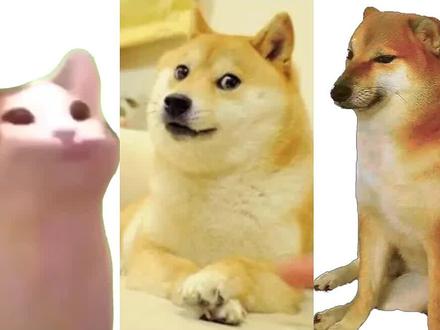 外国人用doge表情包吗-抖音