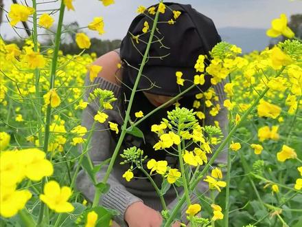 吃小面佐料是关键,看完在家轻松做出面馆的味道!#鸡杂面#重庆小面调料#渝大伯重庆小面调料