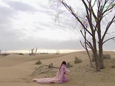 江洋八子:花子殉情,冯宝归案 #独行卫士 #经典武侠 #热血忠魂之独行侍卫 #抖音二创激励计划