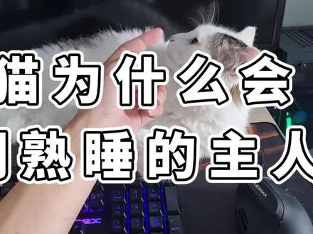 猫咪为什么会闻熟睡的主人#猫咪 #宠物 #萌宠 #猫 #萌宠成精了