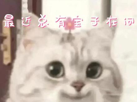 光遇可分屏二手手机推荐 不来看看嘛ฅ۶•ﻌ•♡#干货分享 #游戏 #光遇 #二手手机