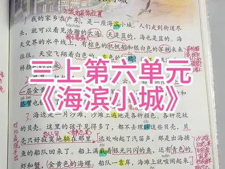 三年级上册第六单元《海滨小城》核心重点#三年级 #小学语文 #三年级上册语文 #语文
