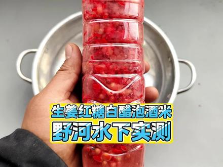 酒米窝料加这个诱鱼更快?生姜红糖白醋泡酒米水下实测,探秘诱鱼留鱼效果!#钓鱼 #饵料测试 #钓鱼技巧 #饵料窝料 #原来钓鱼才是抖音运动顶流