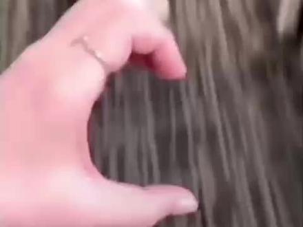 #林俊杰
“你幸福就好”