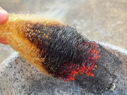 天罗筋也就是丝瓜络,是丝瓜老熟干透的果实,农村人常拿它洗碗#植物科普#涨知识#内容启发搜索