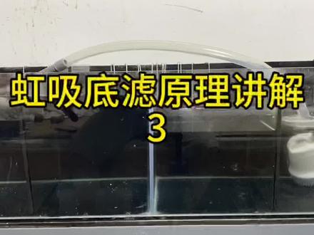虹吸底滤原理讲解3#水族爱好者 #鱼缸过滤