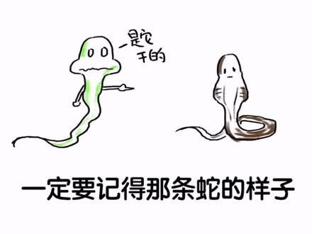 如果不小心被毒蛇咬伤,你会怎么自救呢?#科普 #冷知识 #毒蛇