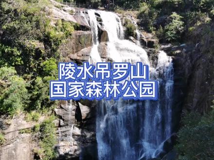 陵水吊罗山国家森林公园,超值的一趟旅程。置身于遮天蔽日的热带雨林里,感受着雨林的生机勃勃和神秘莫测,听着潺潺的流水声,身心都得到了净化。枫果山瀑布和石晴瀑布飞流直下,壮观恢宏。时间原因有些景观没有看,建议去的朋友提前做好攻略,观赏更多美景。#床车自驾 #我的旅行日记 #陵水 #吊罗山国家森林公园 #自驾海南