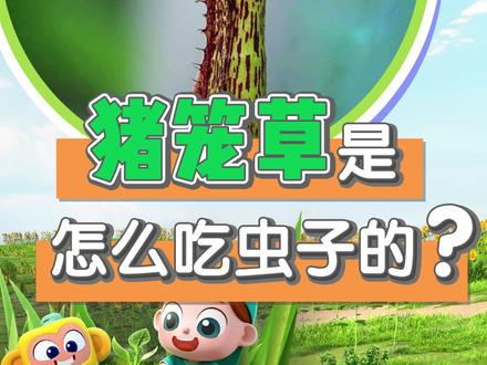 植物是怎么吃动物呢?#斑马百科 #猪笼草