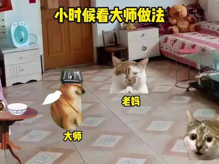 小时候看大师做法#猫meme #搞笑 #抽象 #三国杀小游戏 #三国杀小游戏奶龙联动