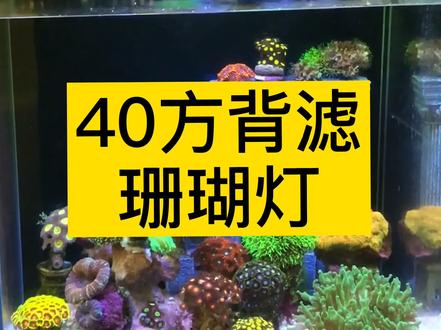 40方背滤 珊瑚灯 积光1201WIFI珊瑚灯 #海缸 #海水 #珊瑚