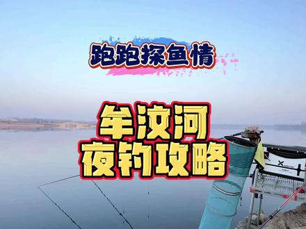 跑跑分享泰安牟汶河,夜钓攻略! 跑跑探钓:鱼情分享,夜钓攻略!最近大板鲫鱼情暴躁,钓点:泰安牟汶河大土坡,野钓最后的狂欢盛宴,兄弟们有空的抓紧来,错过就等明年了!玩转野钓,探钓攻略免费分享!心中有鱼、手中有竿.得一方碧水、享垂钓人生。喜欢野钓的老铁,可以关注一下我哟!有空一起交流野钓的乐趣,加入游钓江湖韩跑跑粉丝群,一起分享野钓钓点,野钓技巧,野钓的乐趣,期待你的加入!喜欢的可以帮跑跑转发一下,感谢亲!精心制作,只为钓友,不忘初心,分享鱼情,制作不易,请帮忙点赞、评论、转发!谢谢跑跑的兄弟们!@所有人 #解锁秋冬钓鱼爆护的秘密 #原来钓鱼才是抖音运动顶流 #钓鱼的乐趣只有钓鱼人懂 #秋天大家dou来钓大鱼 #钓鱼人就是这么疯狂@天元王稳 @跑跑野钓 @渔之悦 @野钓的宝哥 @小虫野钓 @社会边角料