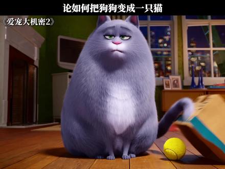 论如何把狗狗变成一只猫 #爱宠大机密2 #鹅滴神片
