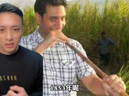 都说 南甘蔗 、北甜高粱(芦稷)其实最早芦稷起源非洲,苏州种植,从崇明岛走向世界的…#历史 #涨知识 #南北差异 #创作灵感 #历史故事 #苏州