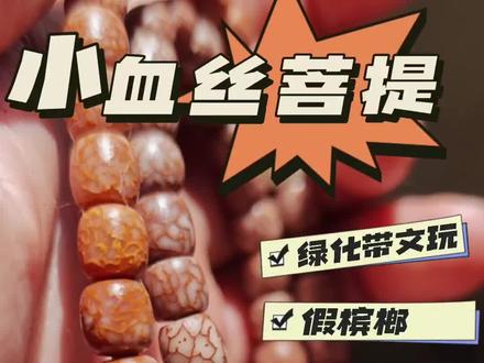 莲花山公园莲心湖旁边的假槟榔树落果了,捡回去打磨成串,就是小血丝菩提了,喜欢小型手串的宝子不要错过#真实生活分享官 #文玩手串 #绿化带文玩#文玩人 #血丝菩提 #DIY手串