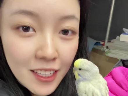 想要训练鹦鹉说话的看过来#养鸟日常 #训练鹦鹉学说话 #鹦鹉说话 #虎皮大头鹦鹉