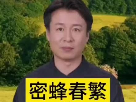 全国蜜蜂春繁的时间是什么时候?蜜蜂春繁该怎么操作?要注意哪些细节。#中蜂养殖 #养蜂人 #养蜂技术分享 #中蜂 #春繁哥