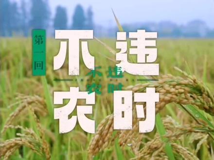 大半夜剪emo了😭😭
#十个勤天 #种地吧
#emo了 #种地吧少年