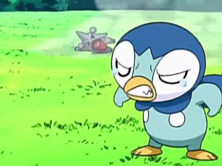 可怜的波加曼#精灵宝可梦 #宝可梦