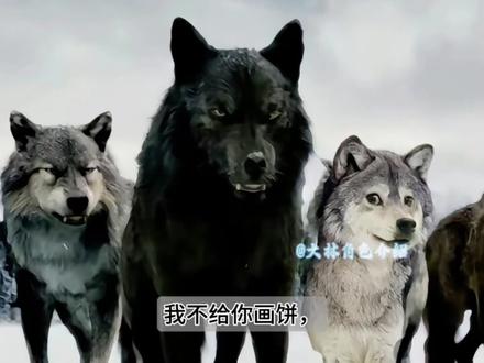 一人之下中的精彩语录(一) 一人之下教过我的道理,莫道此关难过也,熬不住,正修梁。#一人之下#吕良#感悟#正是修行时 #一人之下台词 @上汽奥迪 #奥迪e7x全新内饰揭秘