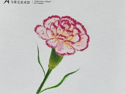 3.8女神节献礼|治愈系康乃馨彩铅教程,温柔了整个春天~ 在妇女节这个特殊的节日,让我们以爱为笔,画一朵康乃馨,致敬所有伟大的女性!
新手必学的康乃馨彩铅教程献上~
康乃馨代表感恩与祝福,跟我画一朵送给身边最美的她!
从草稿起型到精细线稿,从单色铺色到多层叠色,再到花托、叶片的细节修饰,一步一步带你画,没有任何跳过环节~
小清新治愈感满满,成品超惊艳!
#从零开始学画画 #画画 #画画教程 #跟着抖音学画画 #春天的色彩