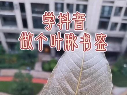 抖音好厉害,啥都能教,按着抖音的教程真的做出叶脉书签了,娃看到叶脉都惊呆了👍👍👍#手工制作