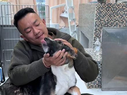 战神小美康复归来#狗狗 #养狗人 #明亮与狗