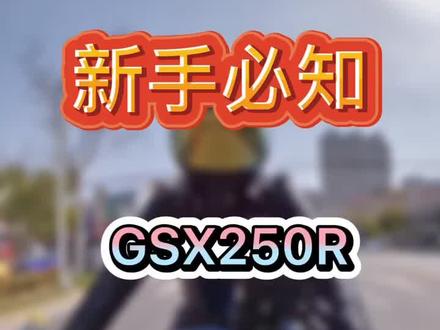 #铃木gsx250r 显示CHEC,收架即可!
