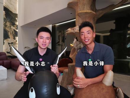 关于泽囿的快问慢答~ #泽囿 #小锋小志 #猫咪小院