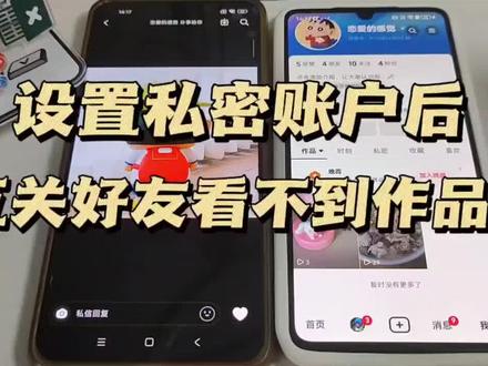 设置私密账户后,两个互关好友看不到作品 #私密账户 #抖音设置