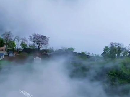 二上《雾在哪里》#课文动画 #二年级上册语文 #雾在哪里