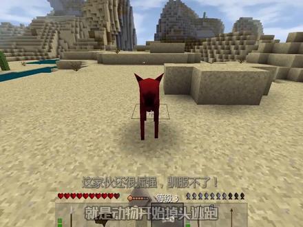 (二) #生存战争2 几根骨头轻松驯服鬣狗 #我的世界 #跟我玩就对了