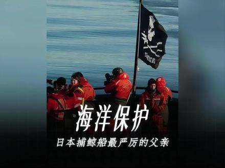日本捕鲸队最终还是迎来了他最严厉的父亲! #鲸鱼 #海洋守护协会 #动物保护 #海洋守护者
